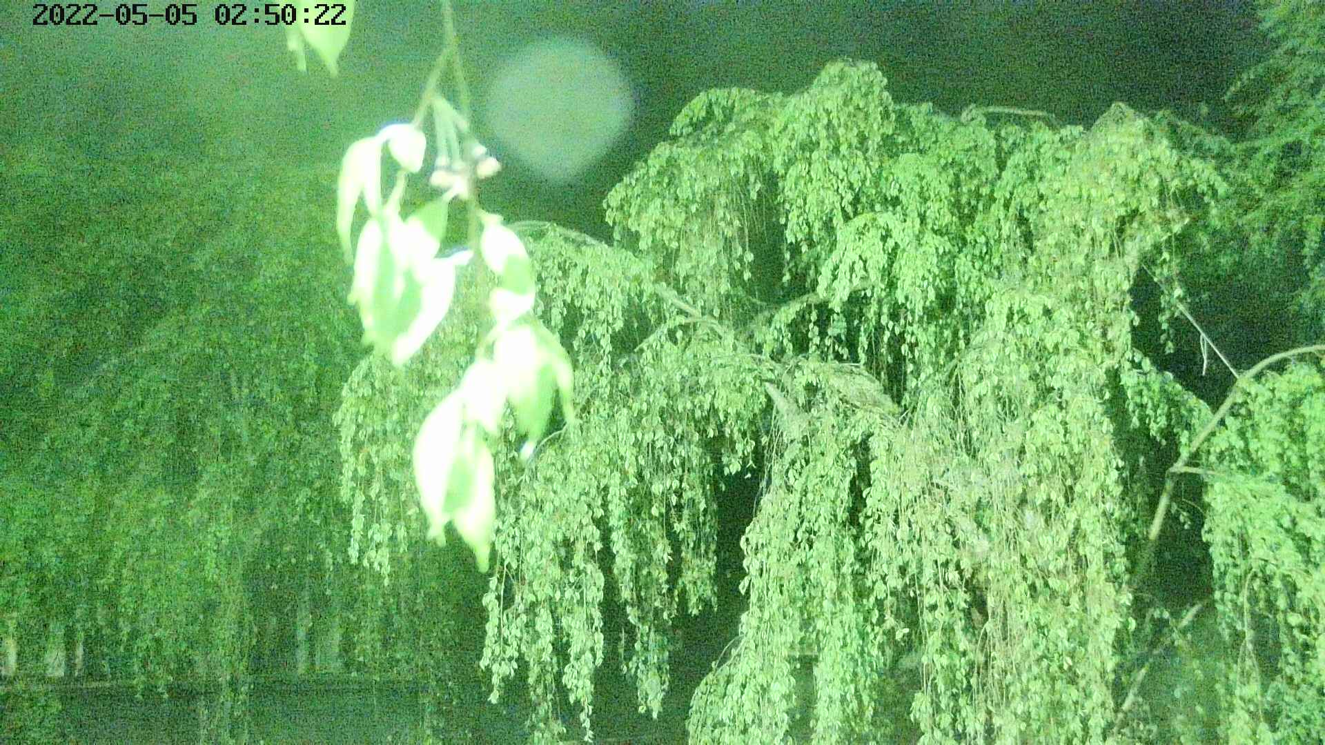 area2-20220505025025.jpg