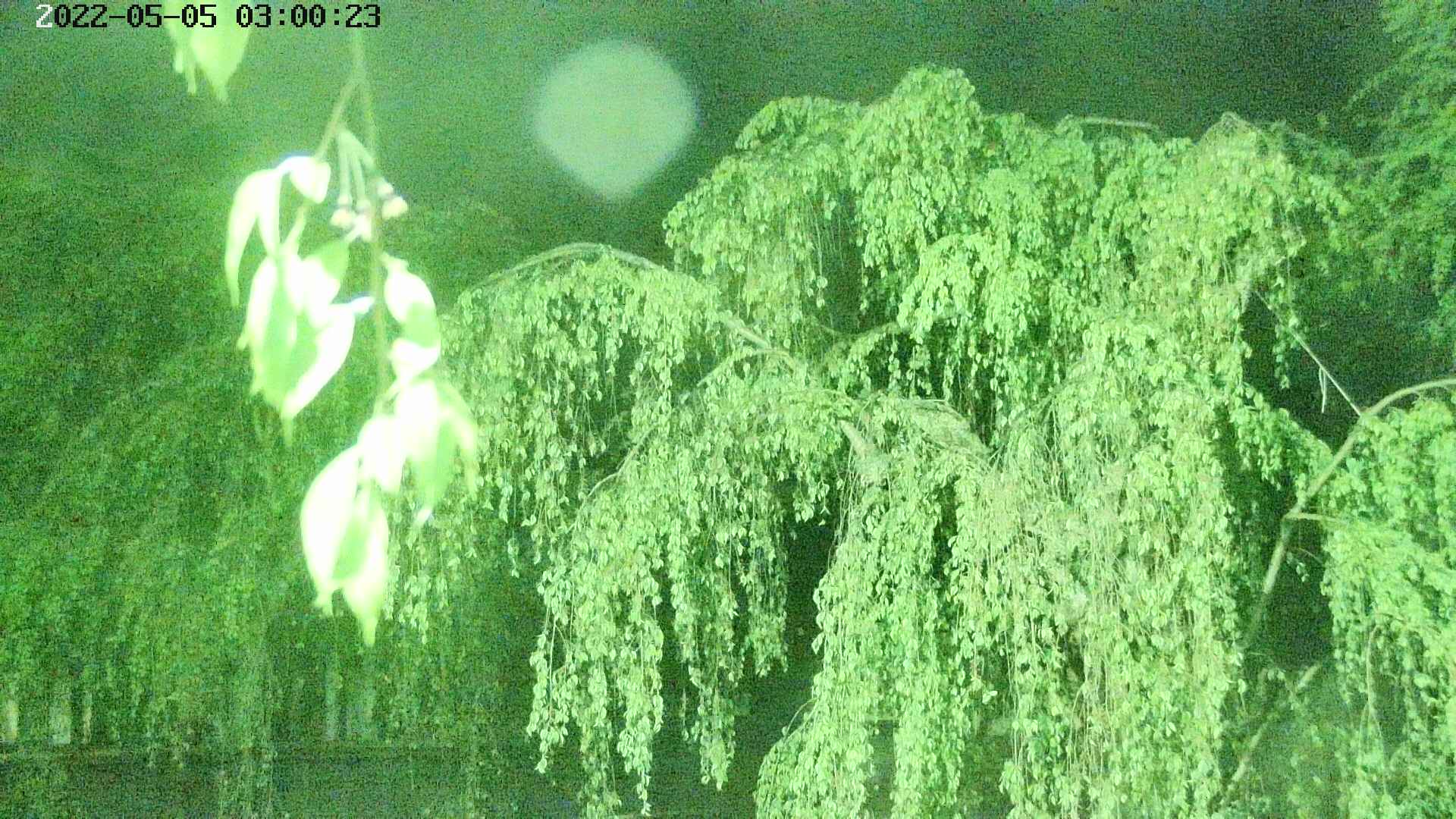 area2-20220505030025.jpg