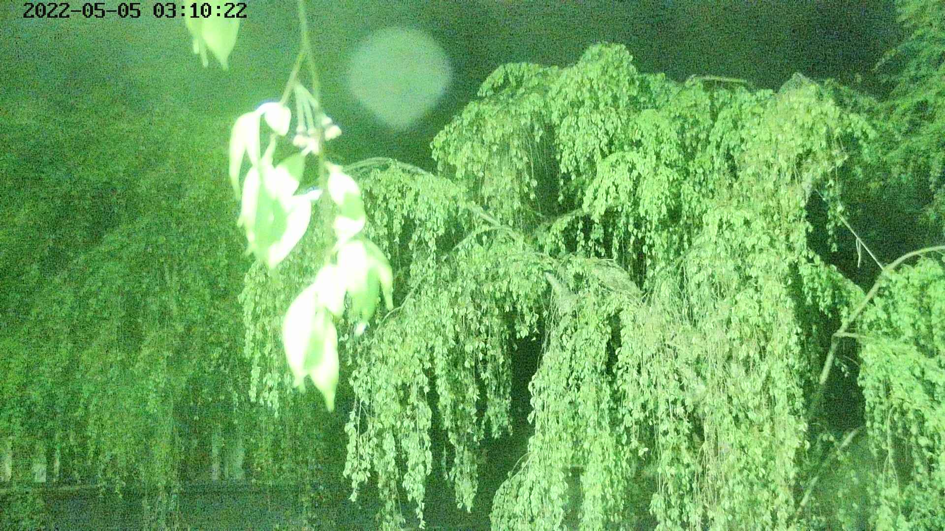 area2-20220505031024.jpg