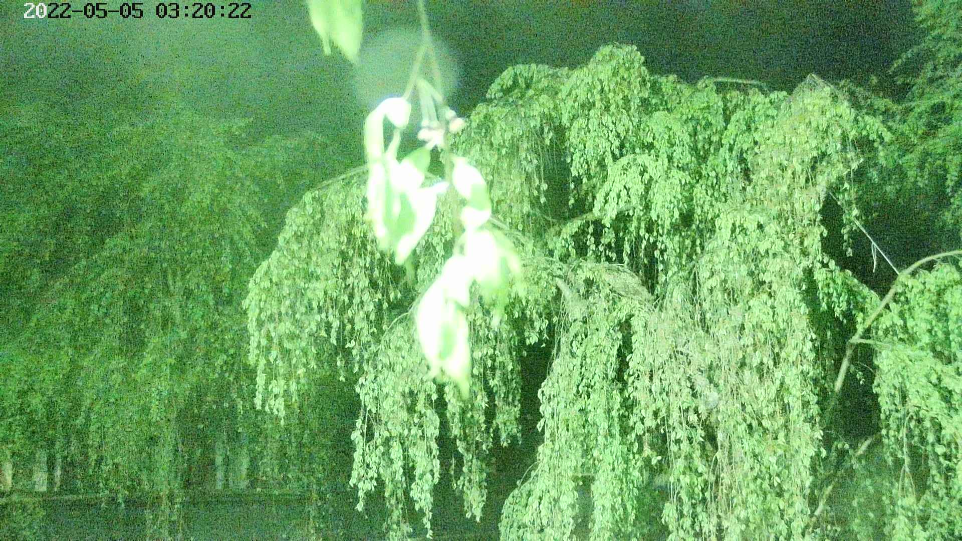 area2-20220505032024.jpg