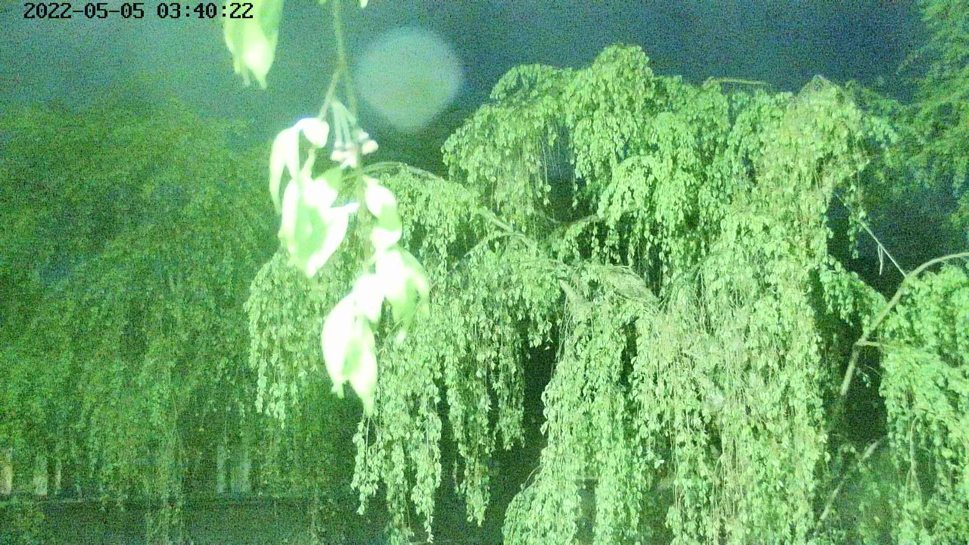 area2-20220505034024.jpg