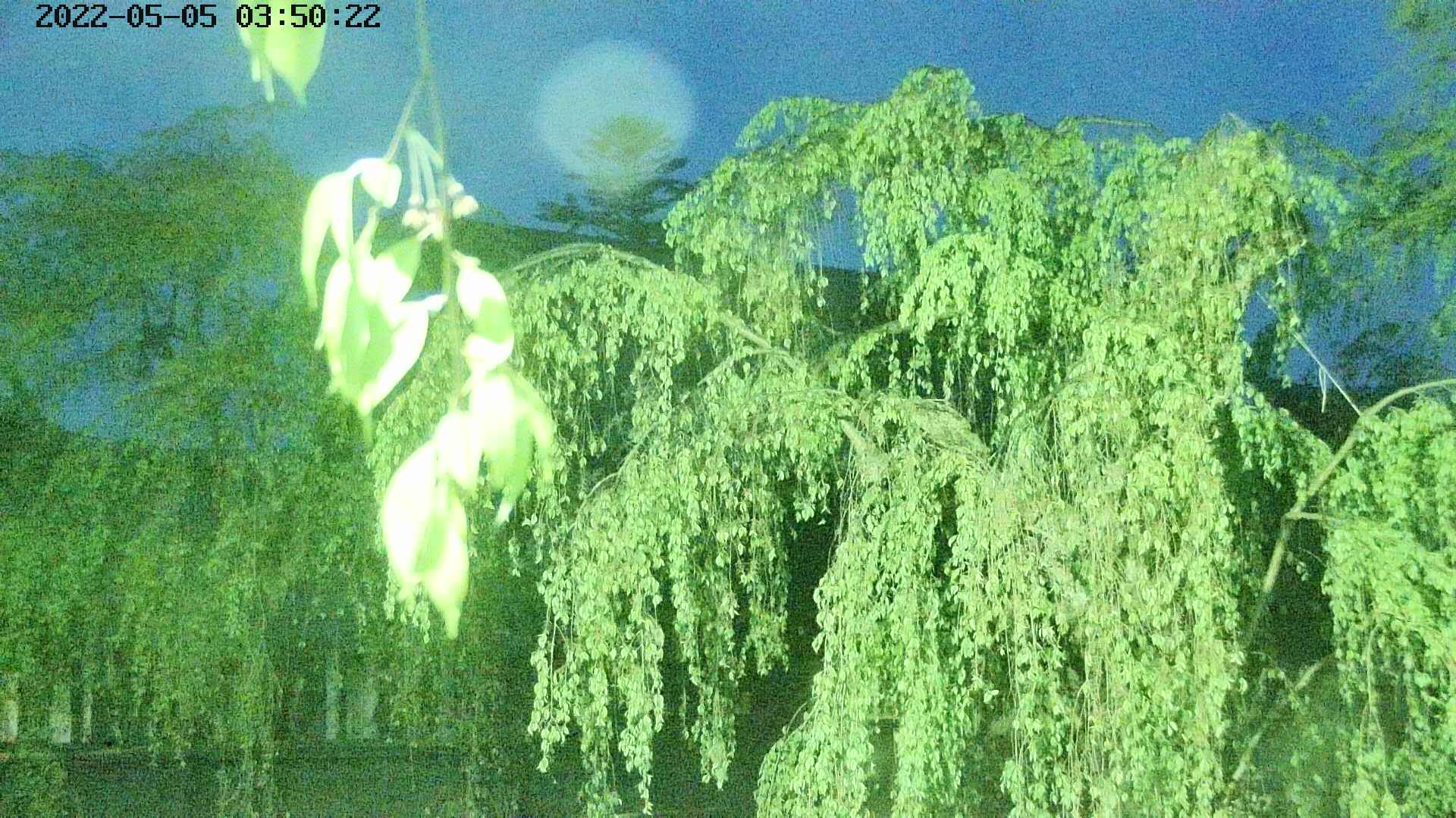 area2-20220505035025.jpg