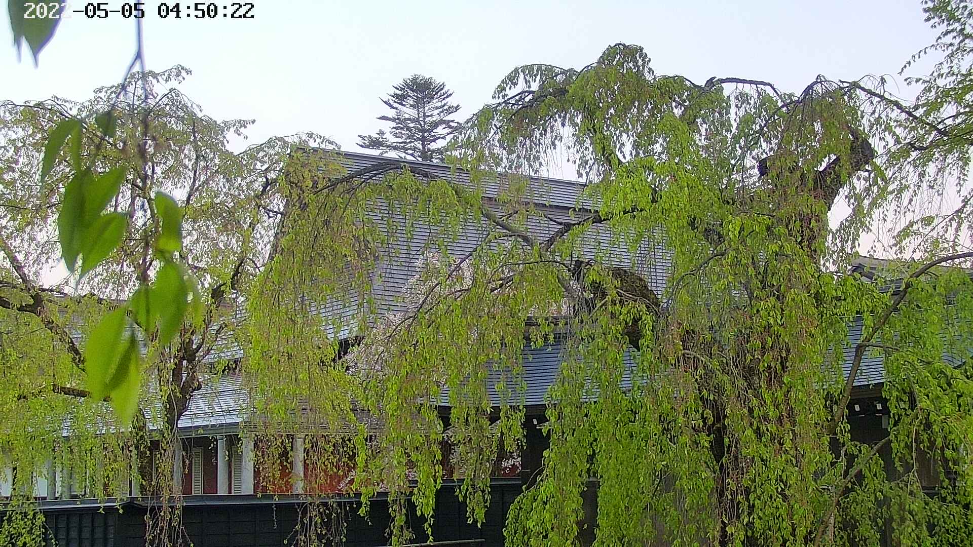 area2-20220505045024.jpg