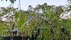 area2-20220505052025.jpg