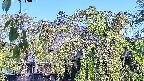 area2-20220505070025.jpg