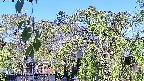 area2-20220505074025.jpg