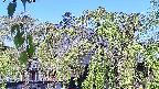 area2-20220505082027.jpg