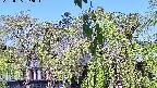 area2-20220505092026.jpg