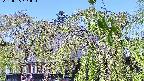 area2-20220505101026.jpg