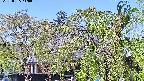 area2-20220505110028.jpg