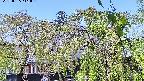 area2-20220505111026.jpg