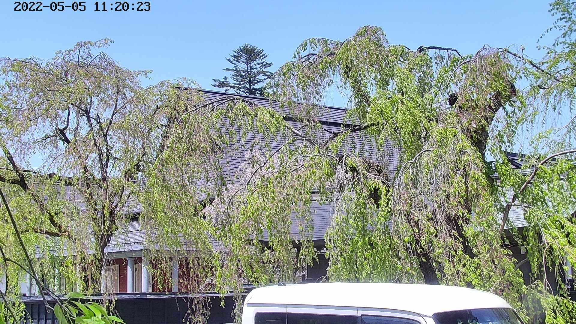 area2-20220505112025.jpg