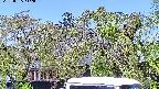 area2-20220505112025.jpg