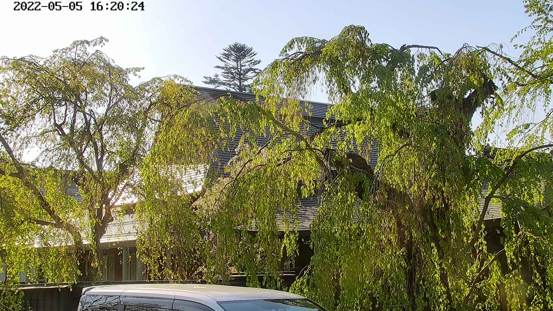 area2-20220505162026.jpg