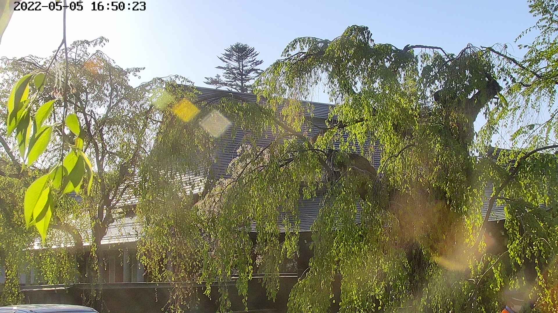 area2-20220505165025.jpg