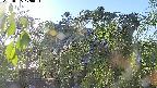 area2-20220505170025.jpg