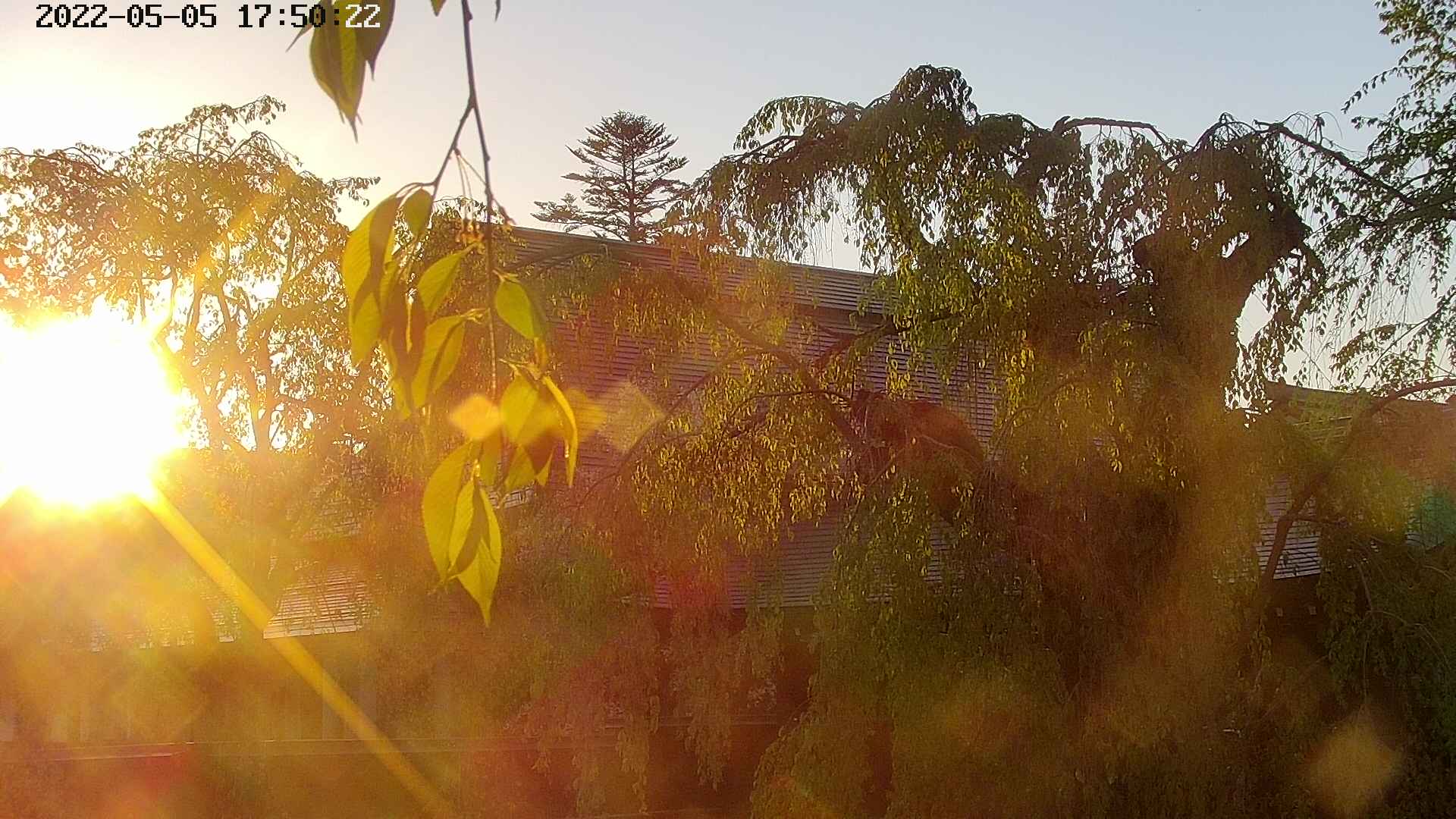 area2-20220505175024.jpg
