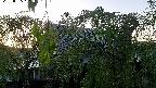 area2-20220505181024.jpg
