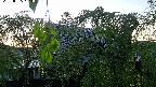 area2-20220505184025.jpg