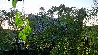 area2-20220505185025.jpg
