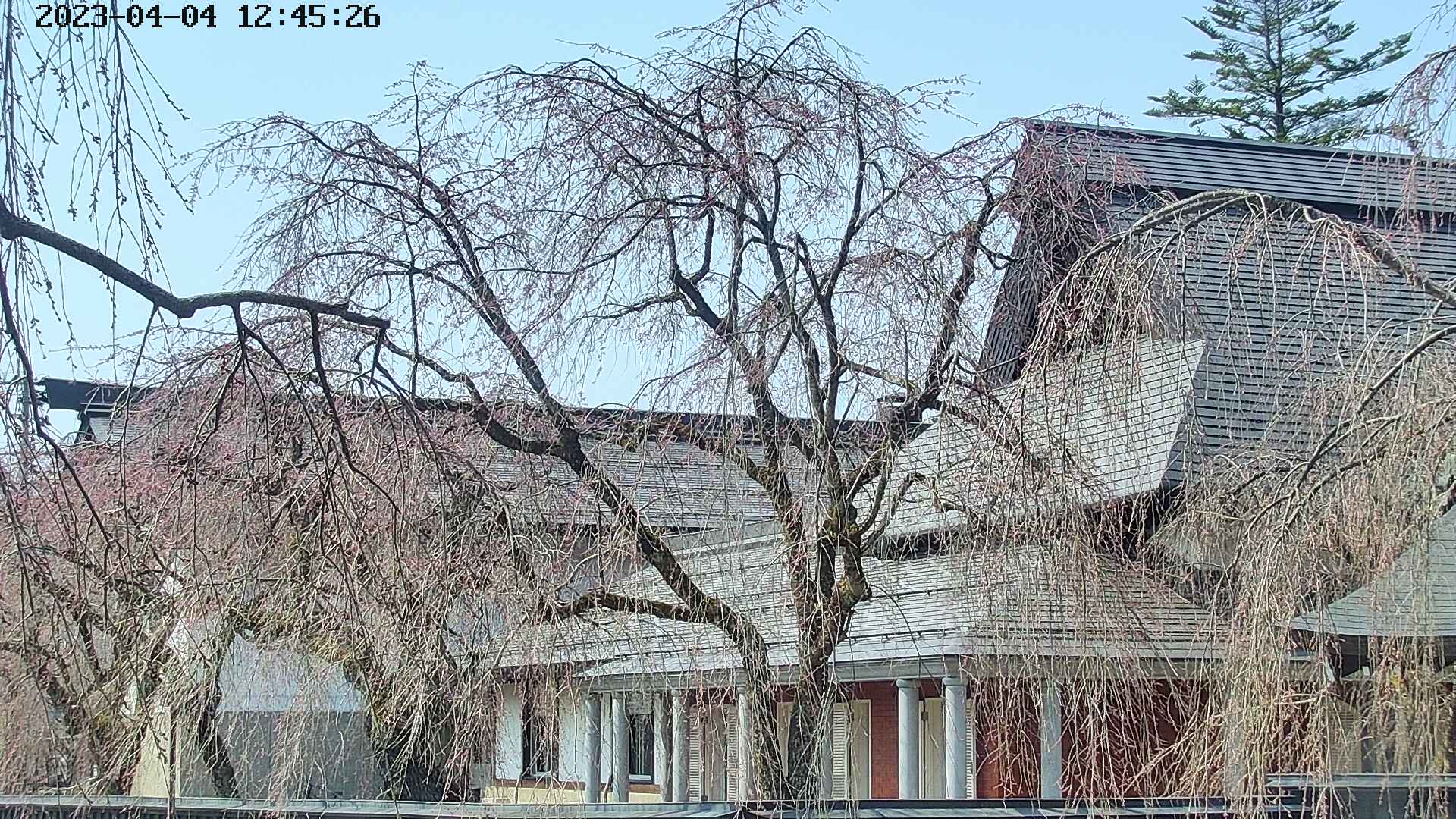 area2-20230404124528.jpg
