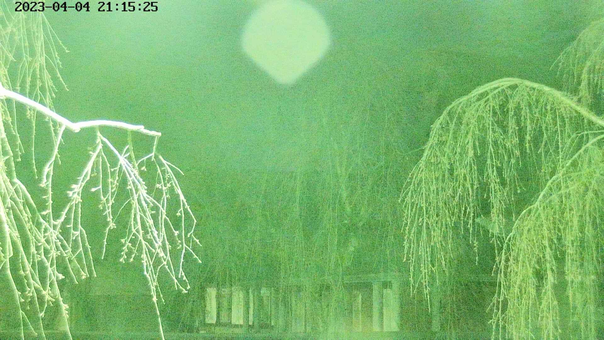 area2-20230404211526.jpg