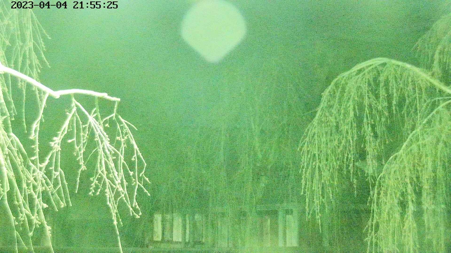 area2-20230404215527.jpg