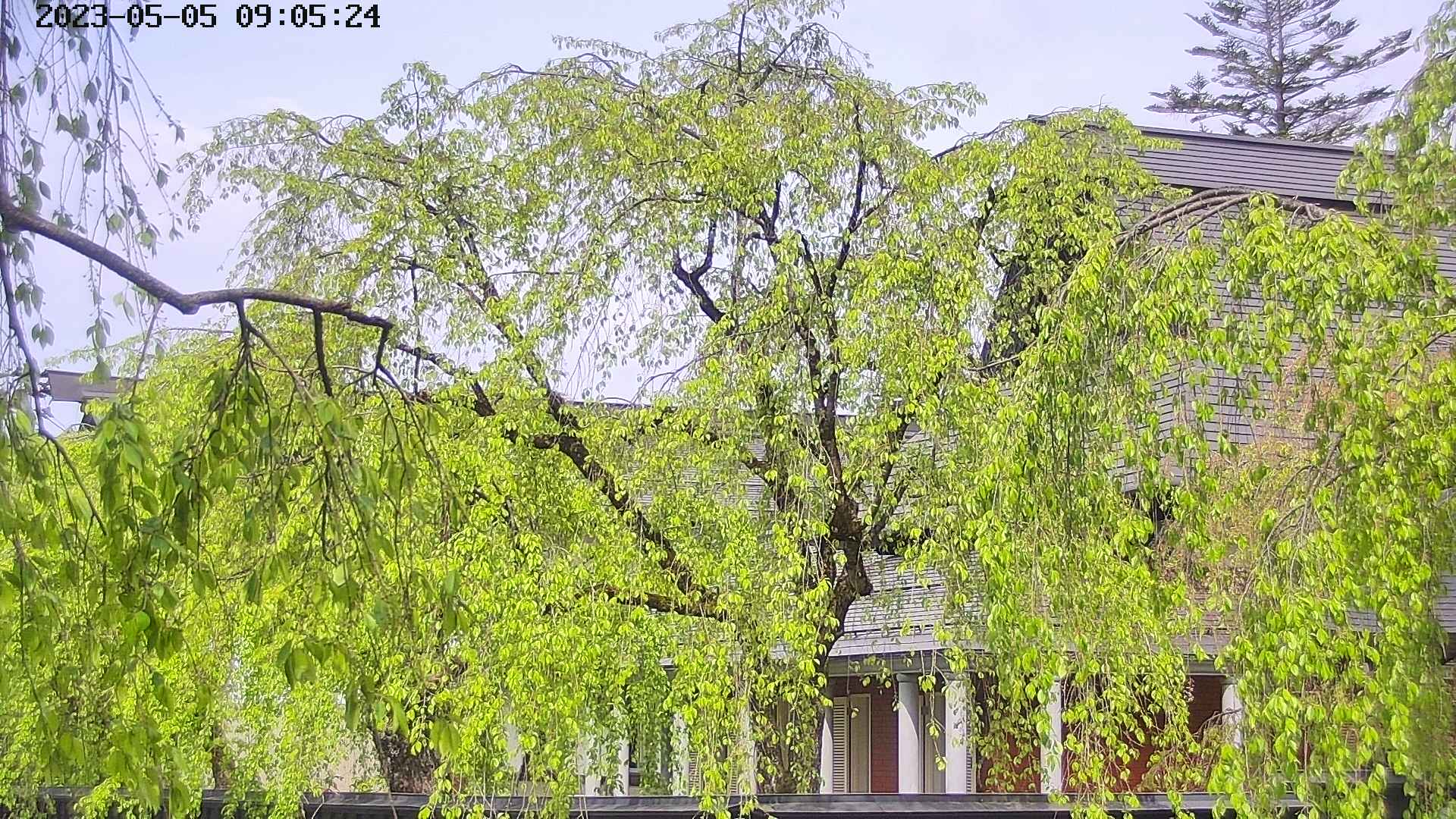area2-20230505090527.jpg