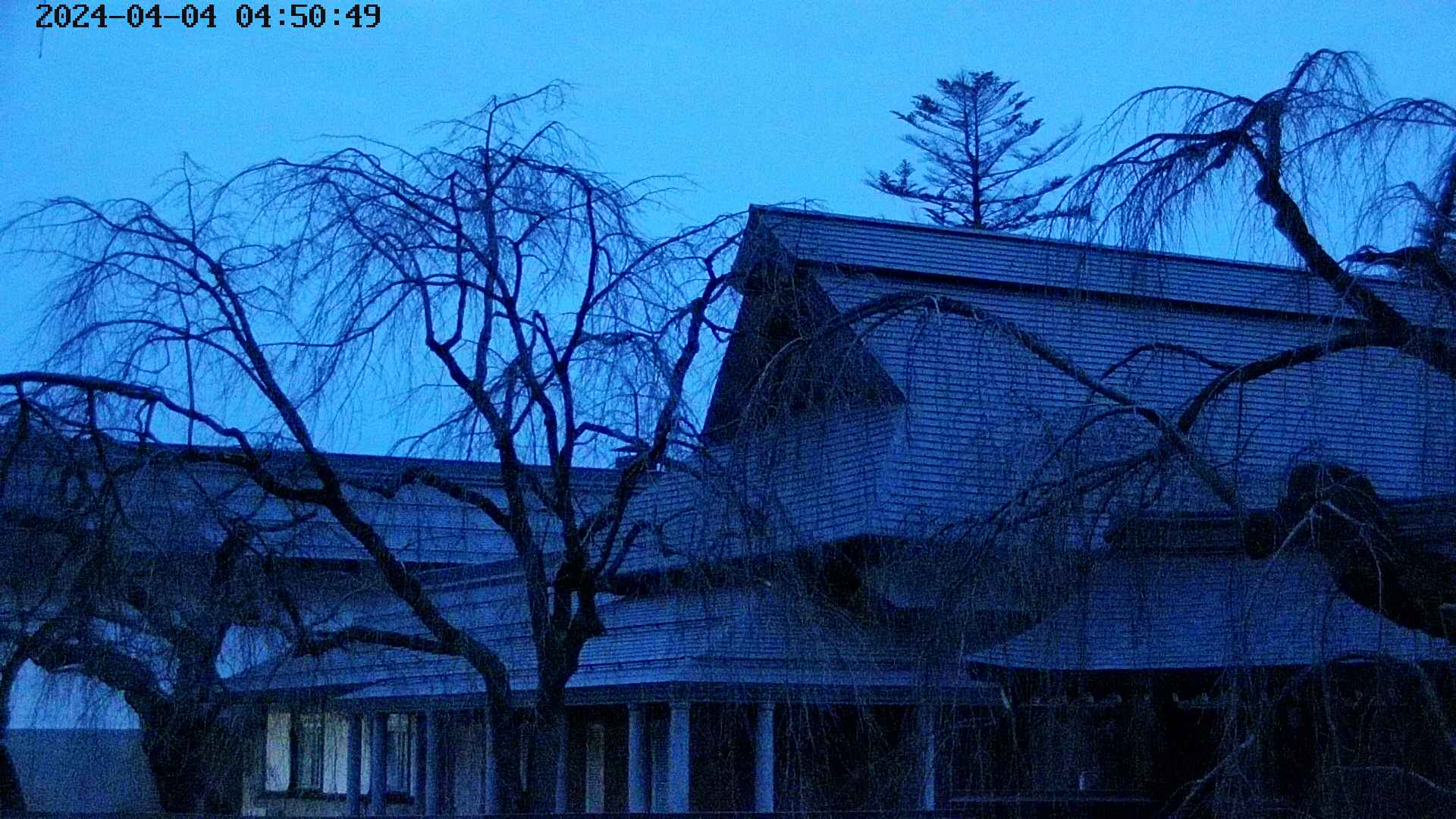 area2-20240404045052.jpg