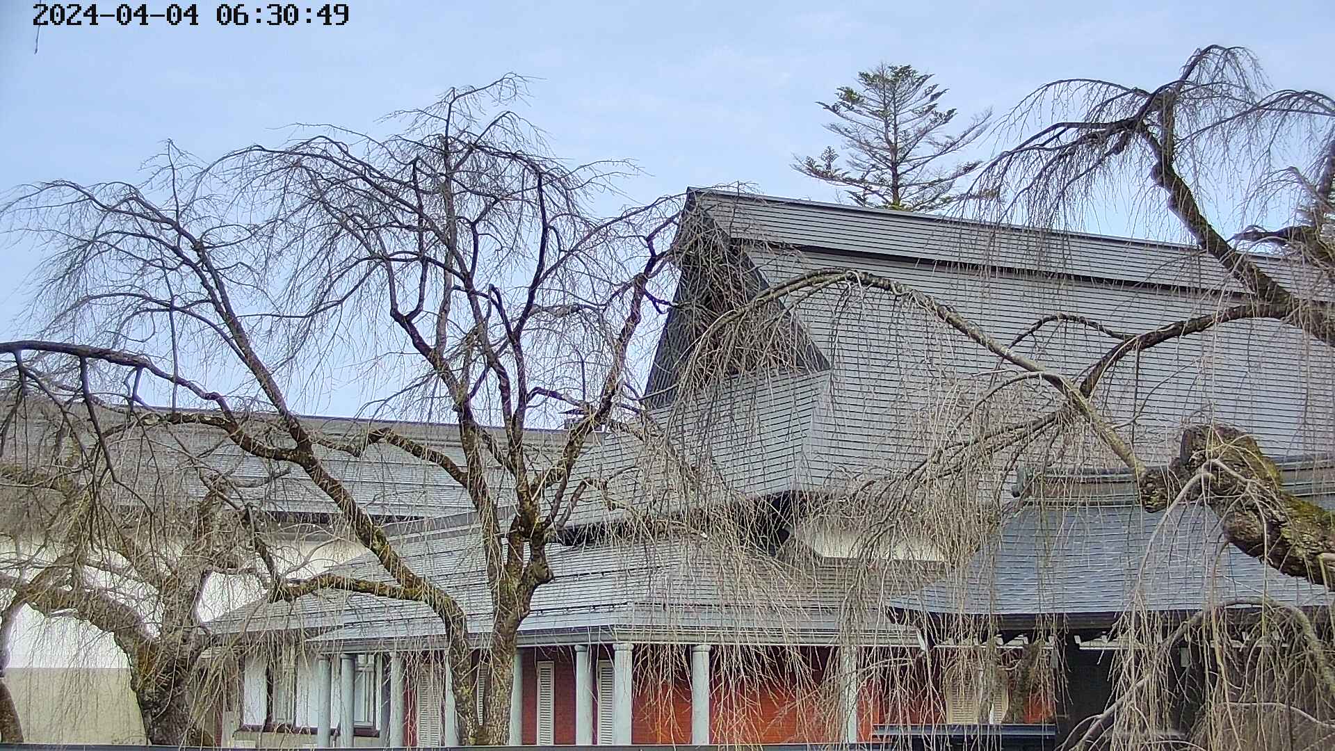 area2-20240404063052.jpg