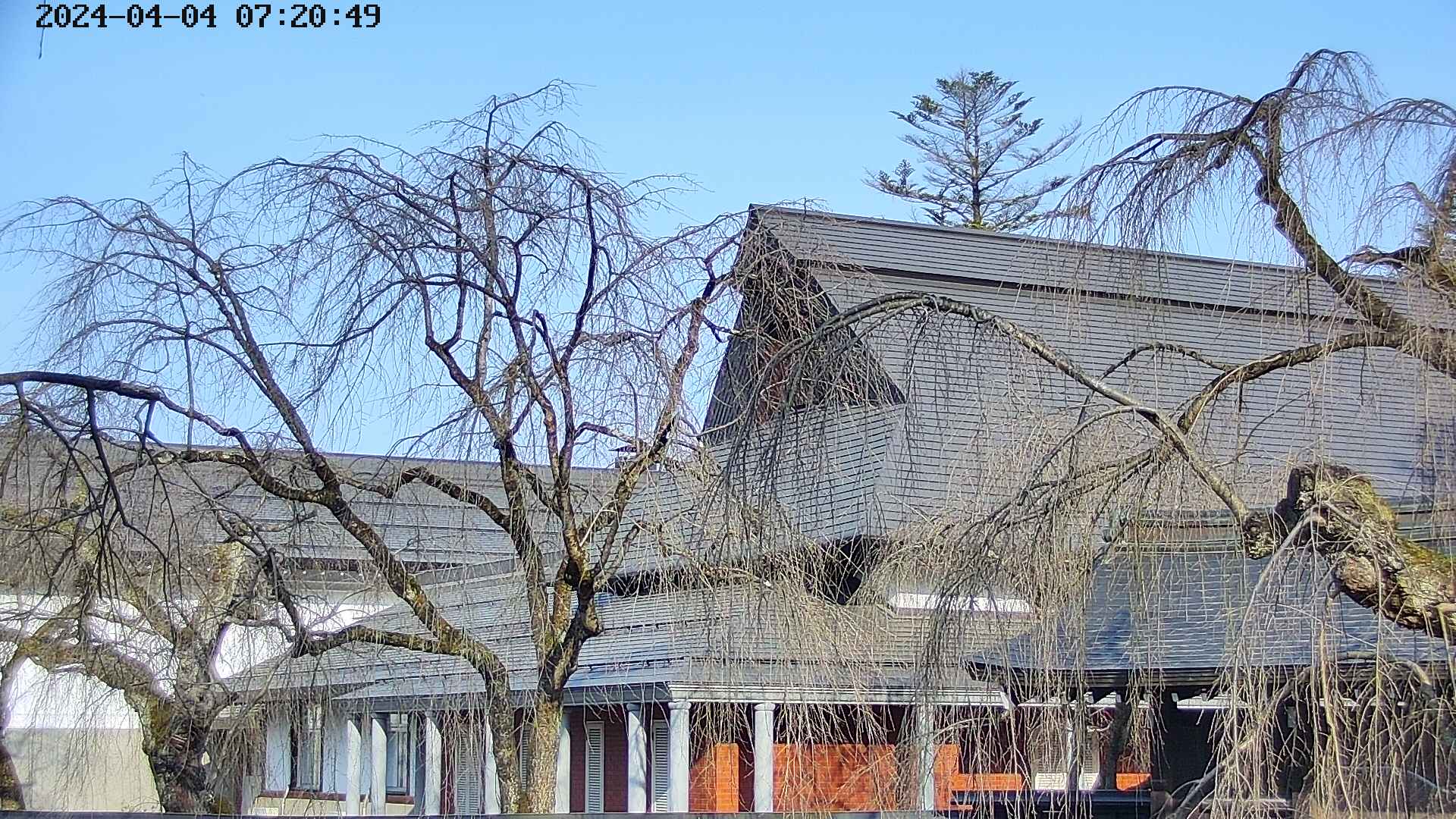 area2-20240404072052.jpg