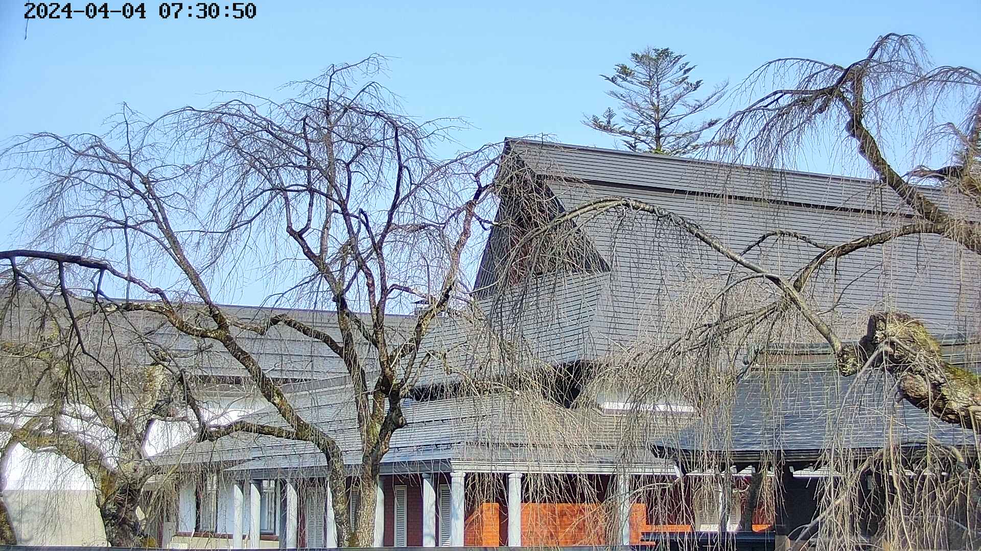 area2-20240404073053.jpg
