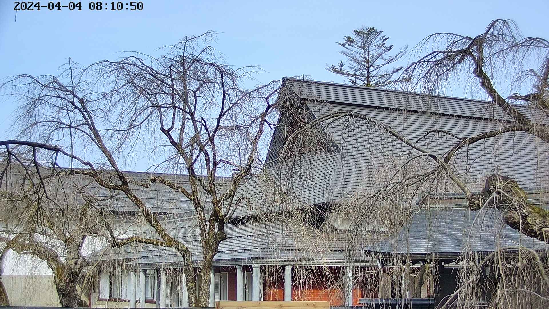 area2-20240404081053.jpg