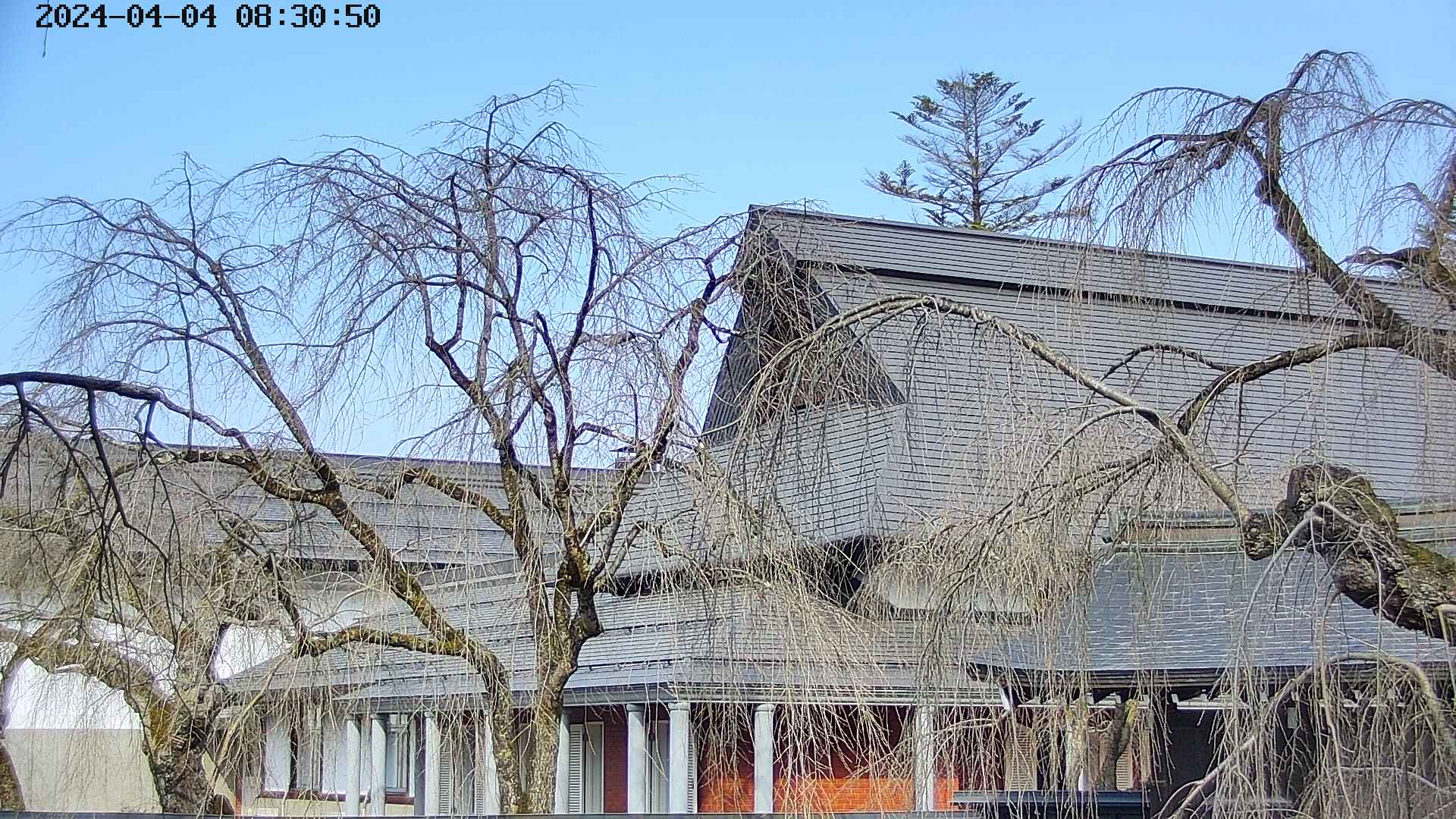 area2-20240404083054.jpg