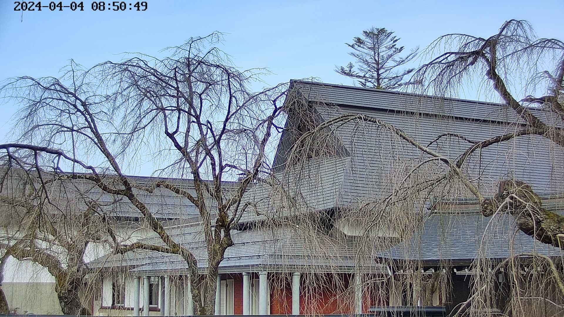 area2-20240404085053.jpg