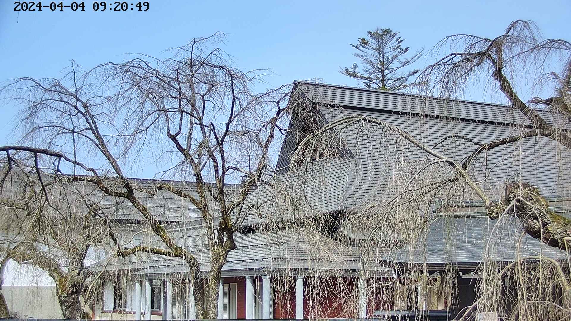 area2-20240404092053.jpg