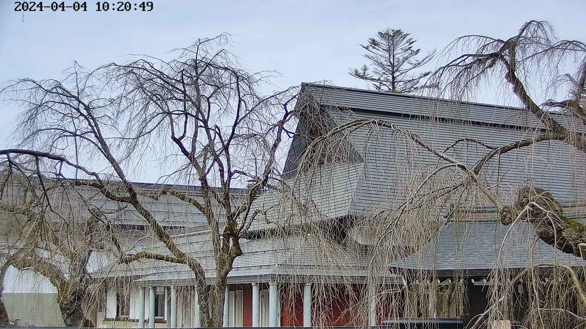 area2-20240404102053.jpg