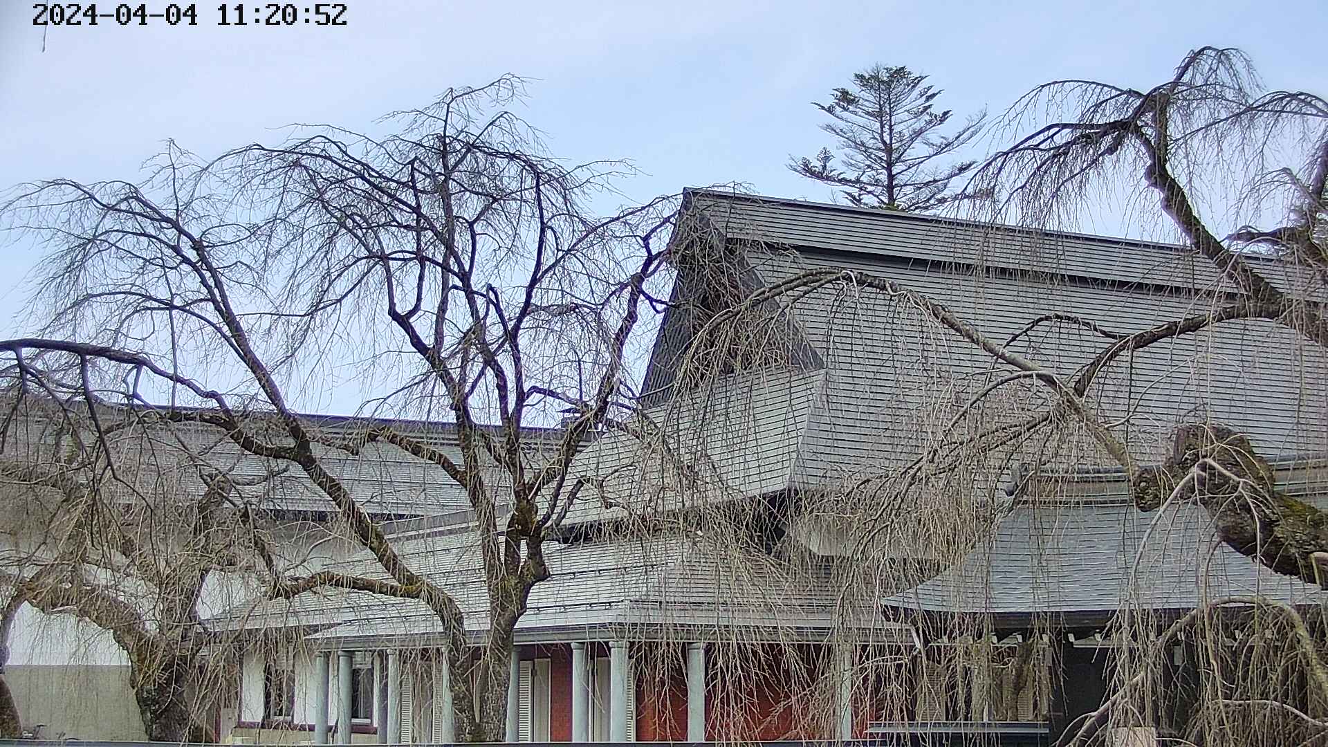 area2-20240404112053.jpg
