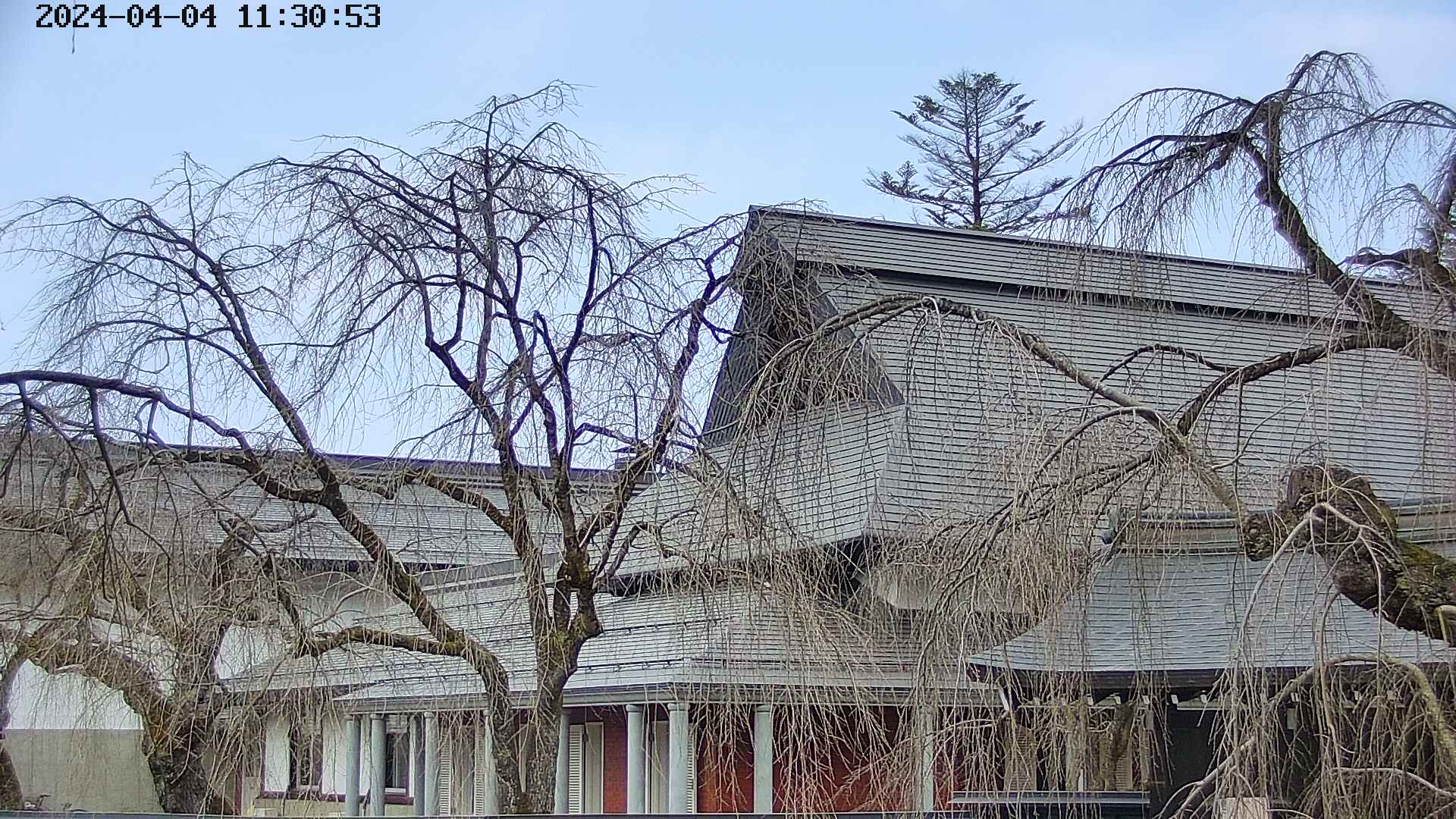 area2-20240404113054.jpg