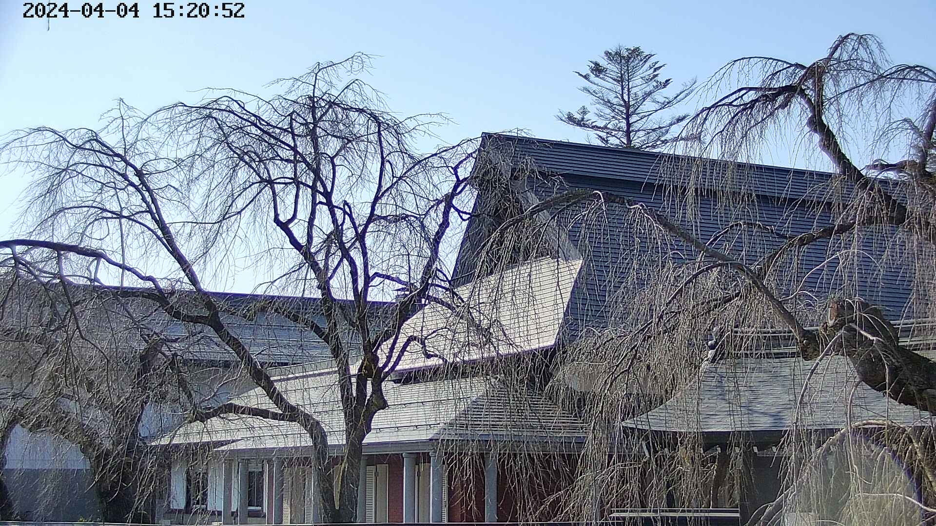 area2-20240404152053.jpg