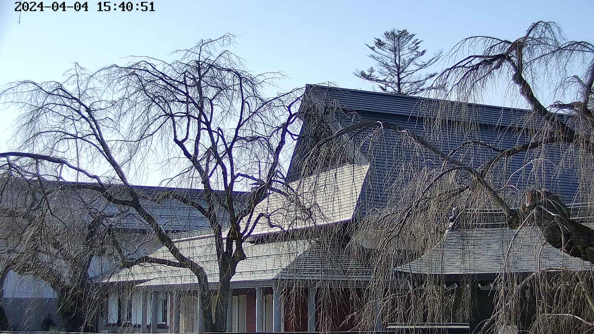 area2-20240404154052.jpg