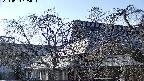 area2-20240404155053.jpg