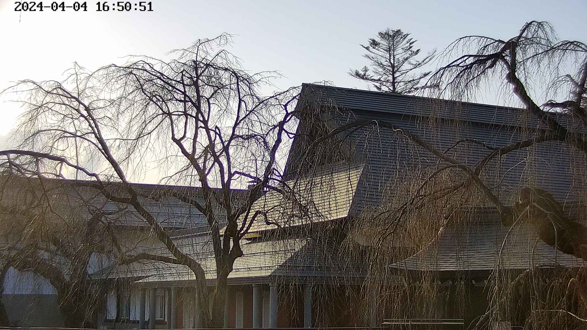 area2-20240404165053.jpg