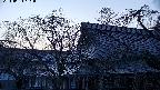 area2-20240404181052.jpg