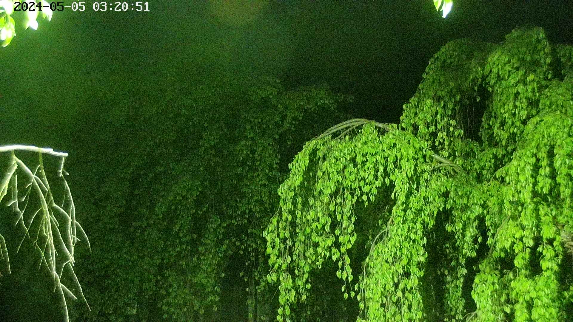 area2-20240505032053.jpg