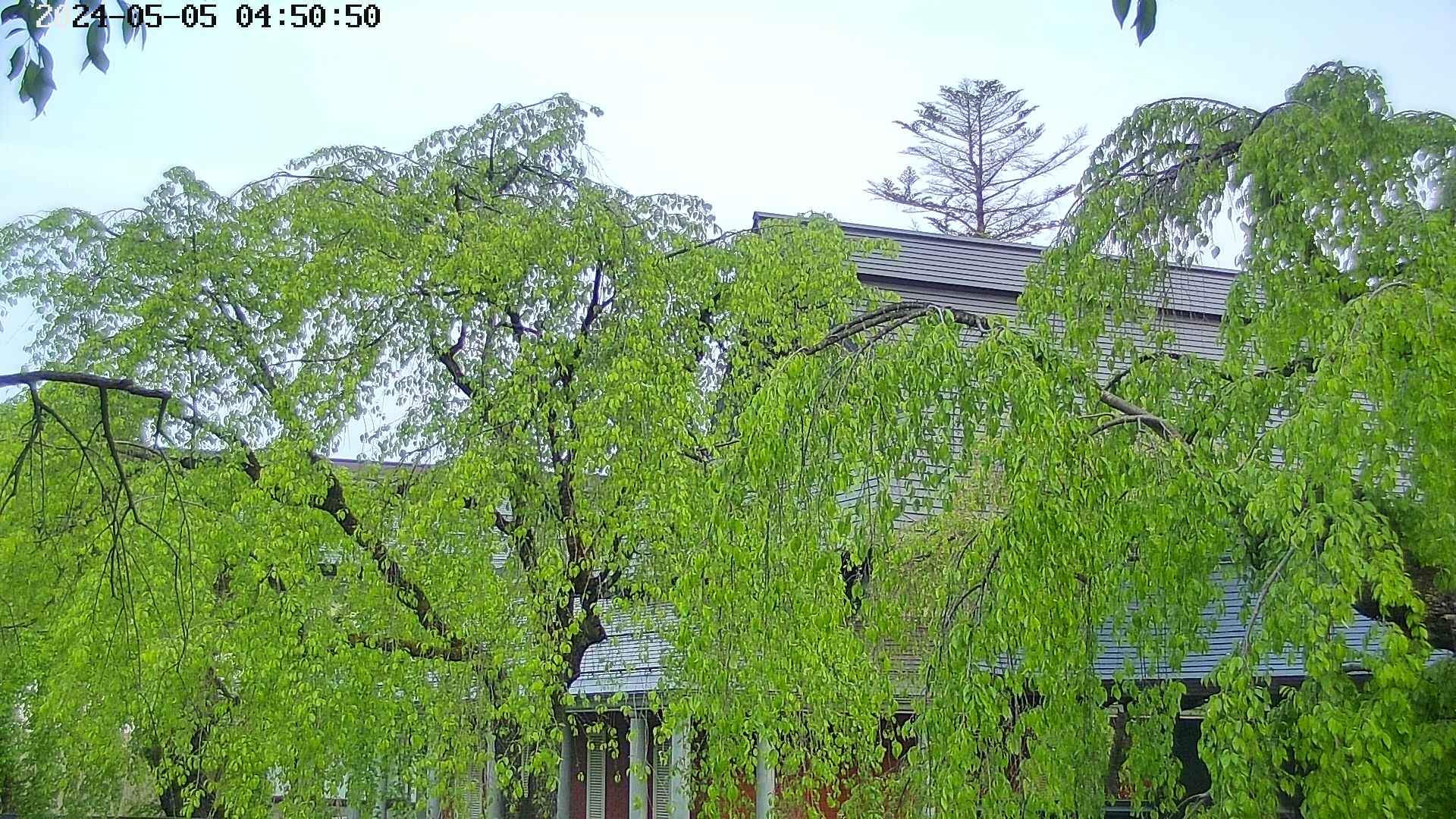 area2-20240505045052.jpg