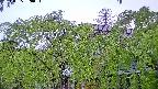 area2-20240505050053.jpg