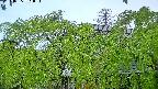 area2-20240505051053.jpg