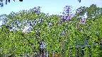 area2-20240505060053.jpg
