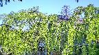 area2-20240505062052.jpg